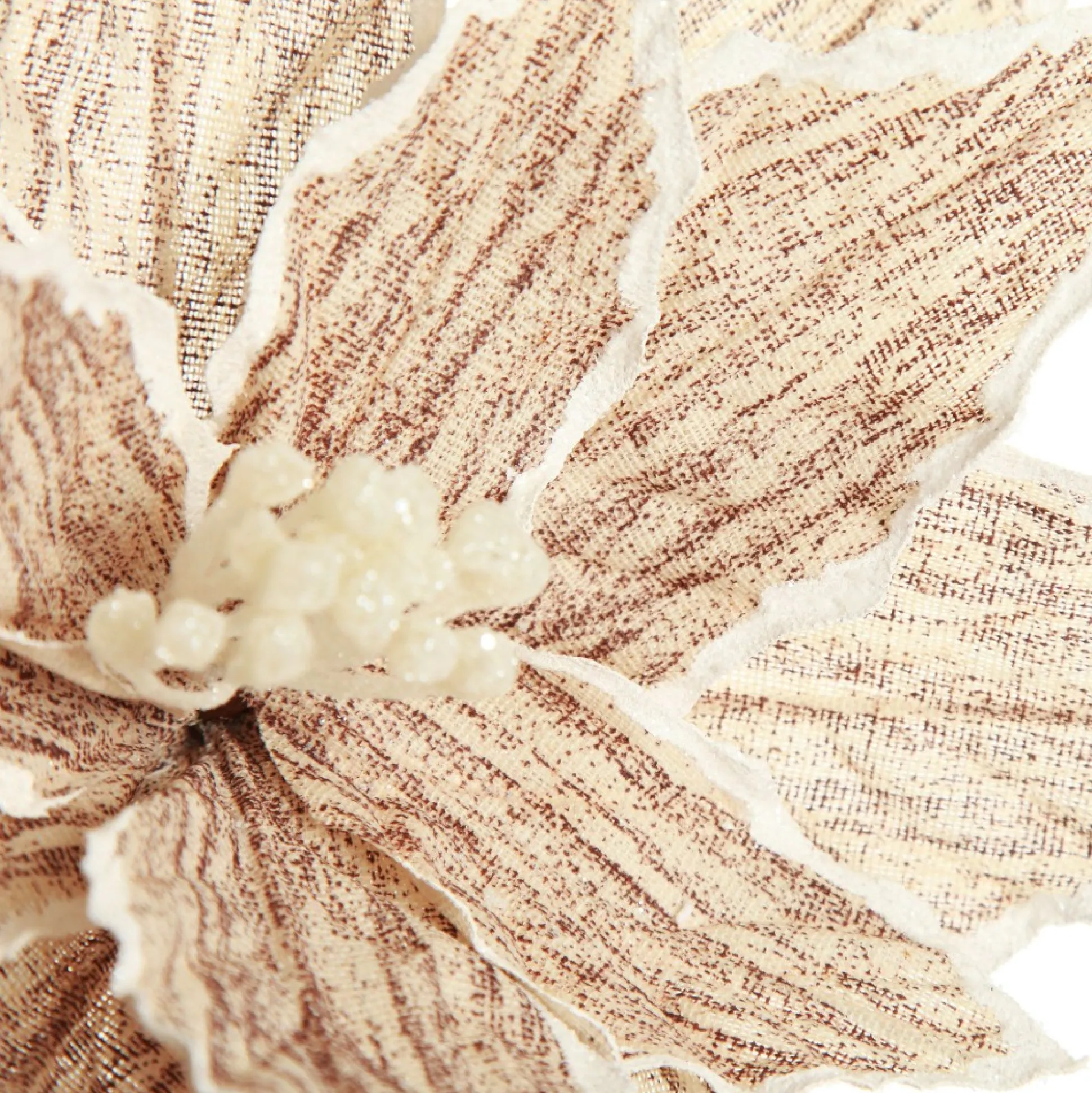 Natural Poinsettia Flower Clip with White Trim Christmas Flowers|