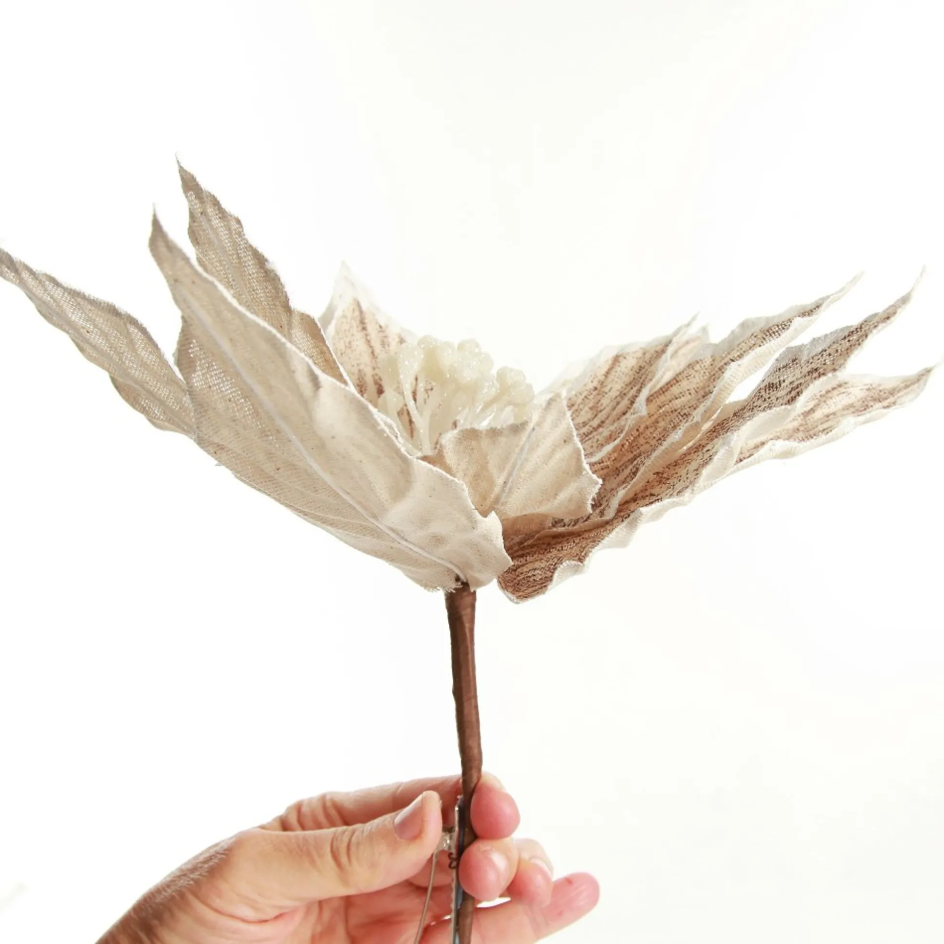 Natural Poinsettia Flower Clip with White Trim Christmas Flowers|