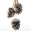 Natural Snow Tipped Pine Cone Drop Trio Pinecones And Acorns|
