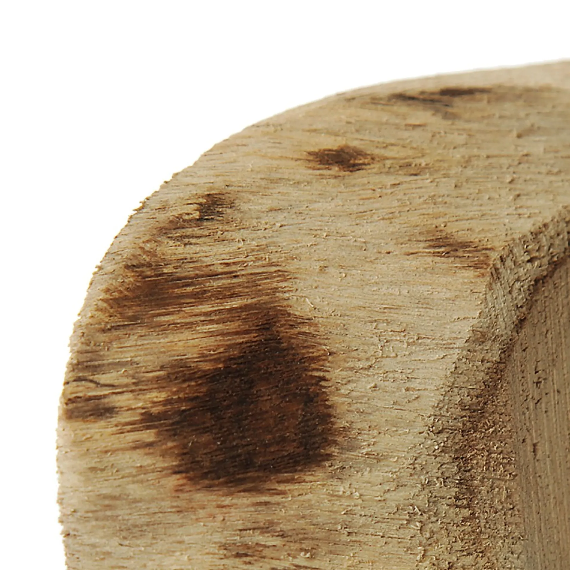 Oval Natural Wood Timber Slice Christmas Table Decor|