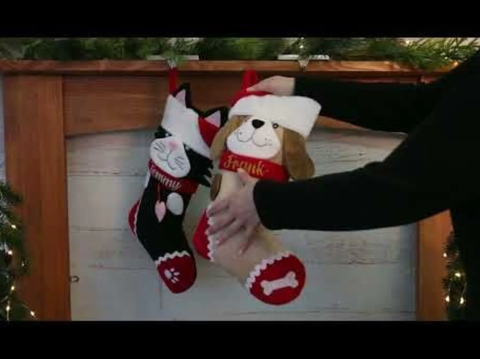 Personalised Fun Dog Christmas Stocking Personalised Stockings|