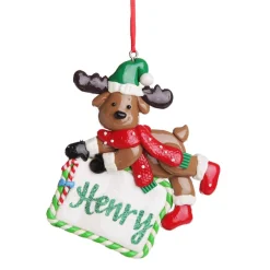 Personalised Reindeer with Plaque Decoration Personalised Decorations|