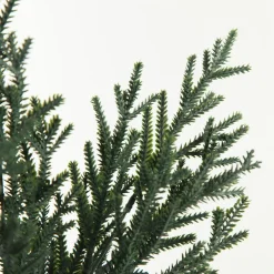 Pine Bush Spray Christmas Sprays|