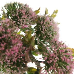 Pink Gumnut Flower Christmas Bush Spray Christmas Sprays|