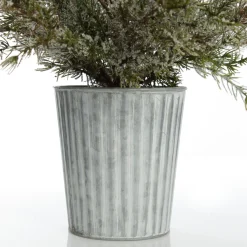 Potted Christmas Pine Tree with Snowy Top Table Top Christmas Trees|