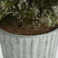 Potted Christmas Pine Tree with Snowy Top Table Top Christmas Trees|