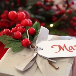 Red Berry Pick - Set of 2 Christmas Pick|