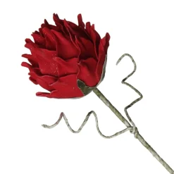 Red Ginger Lily Flower Stem Christmas Flowers|