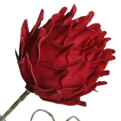 Red Ginger Lily Flower Stem Christmas Flowers|