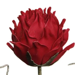 Red Ginger Lily Flower Stem Christmas Flowers|