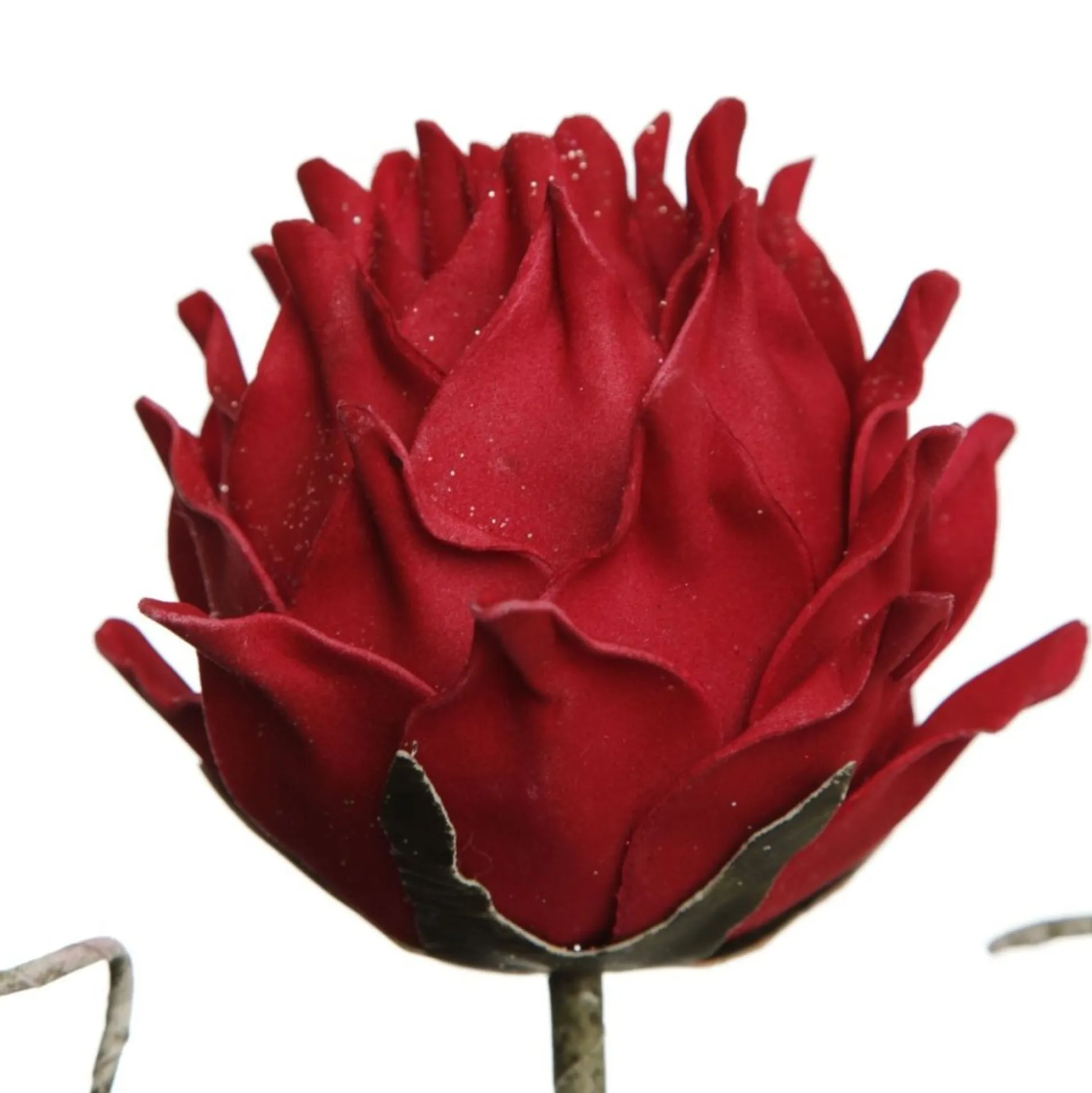 Red Ginger Lily Flower Stem Christmas Flowers|