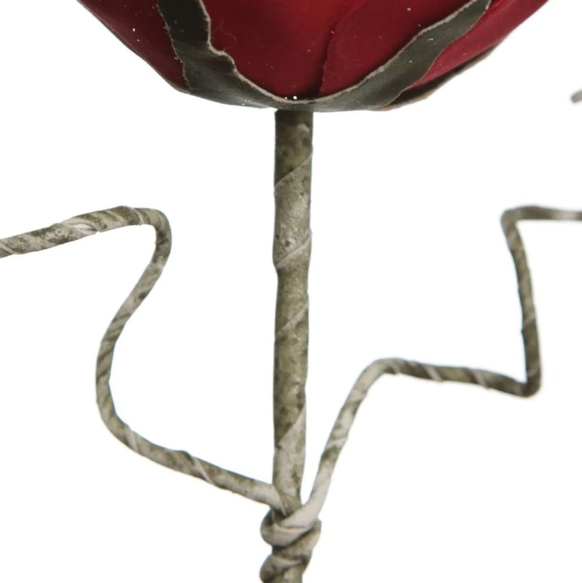 Red Ginger Lily Flower Stem Christmas Flowers|