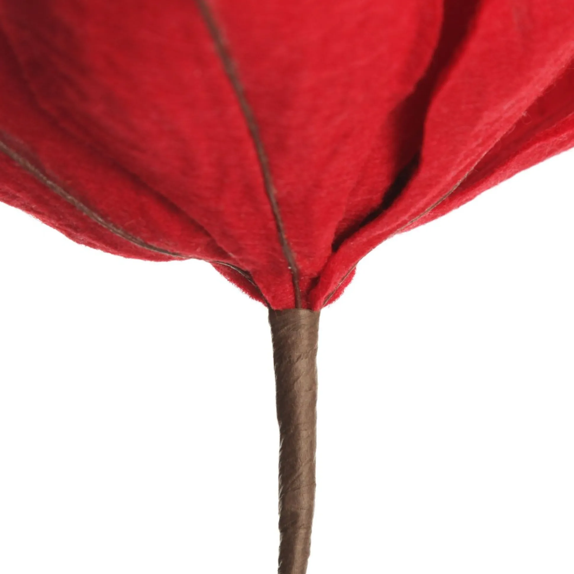 Red Magnolia Flower Stem Christmas Flowers|