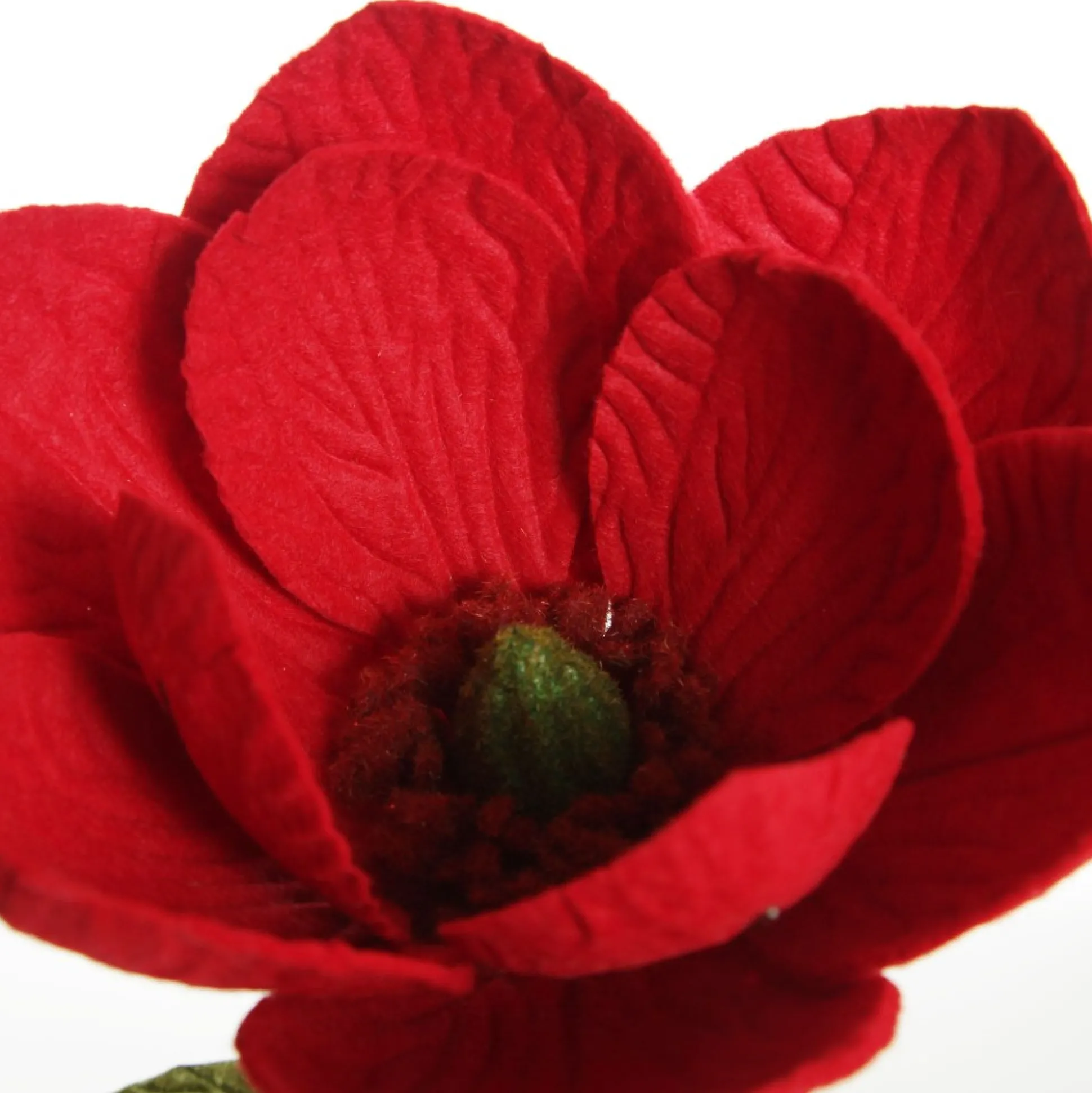 Red Magnolia Flower Stem Christmas Flowers|