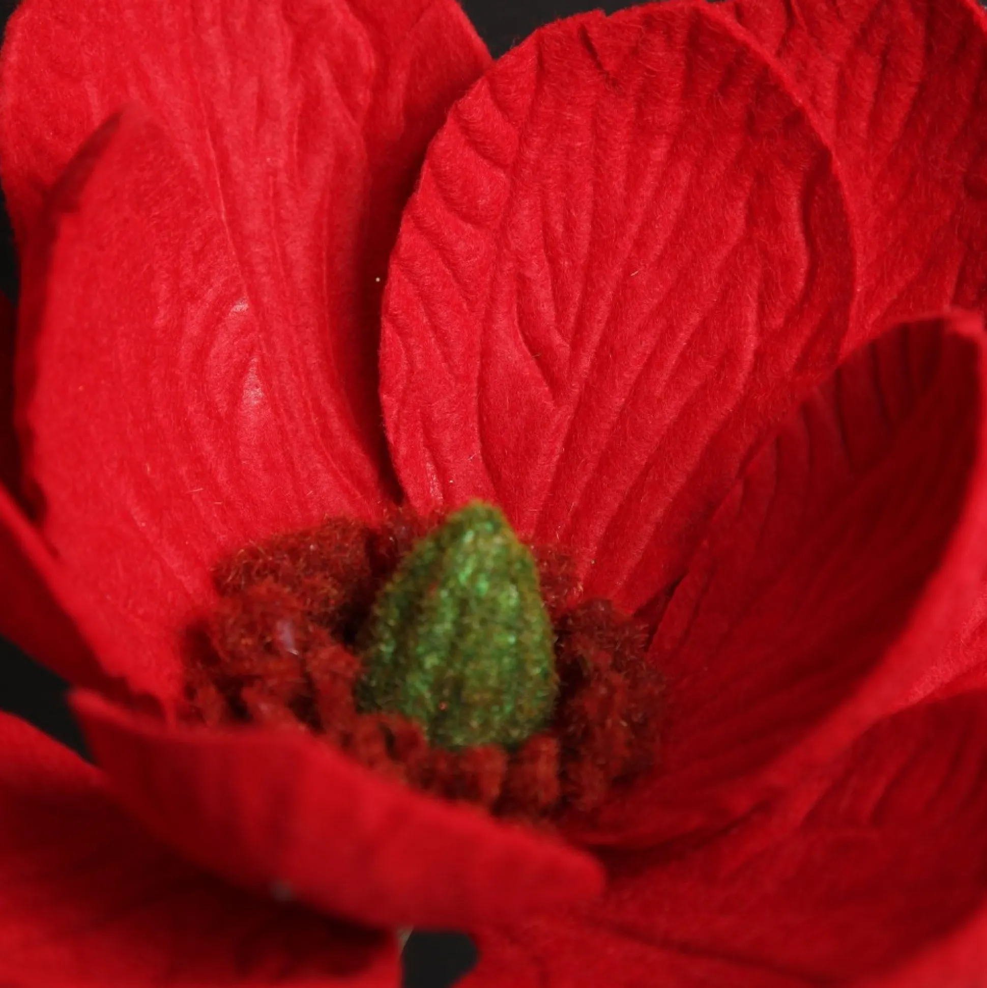 Red Magnolia Flower Stem Christmas Flowers|