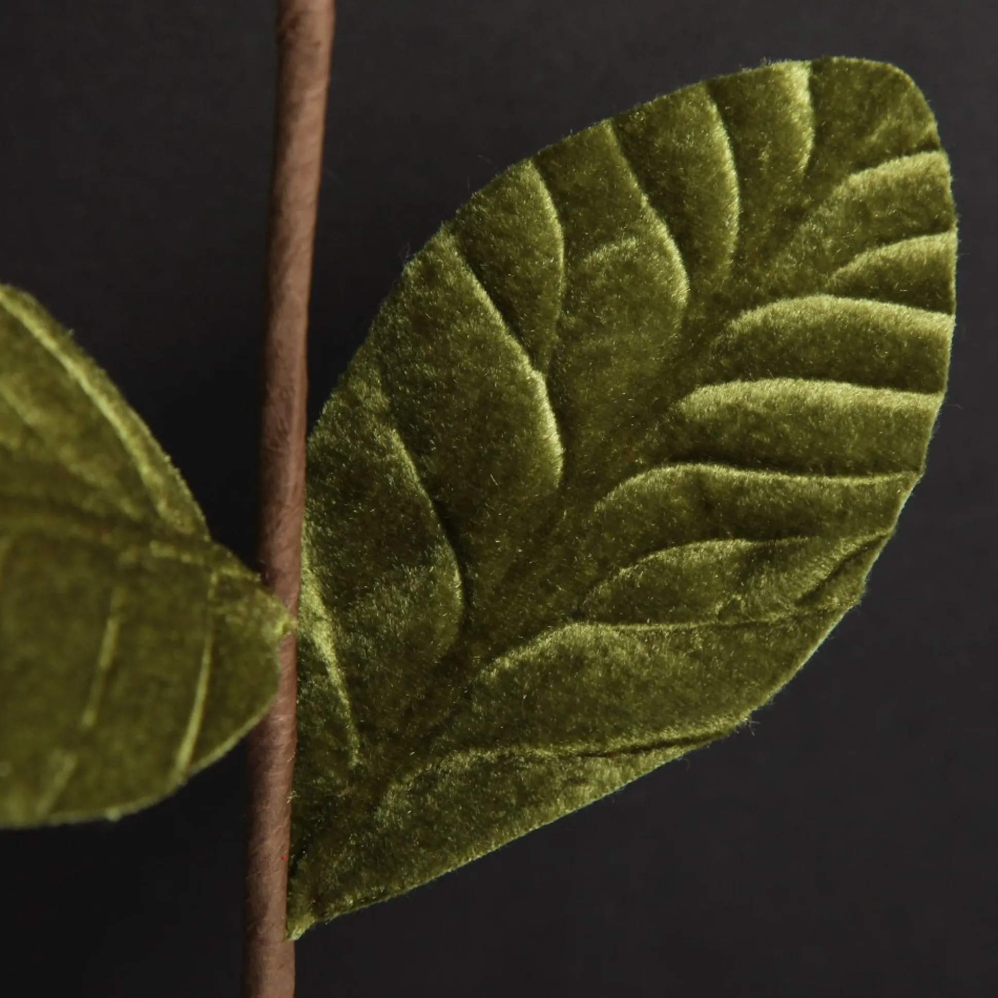 Red Magnolia Flower Stem Christmas Flowers|