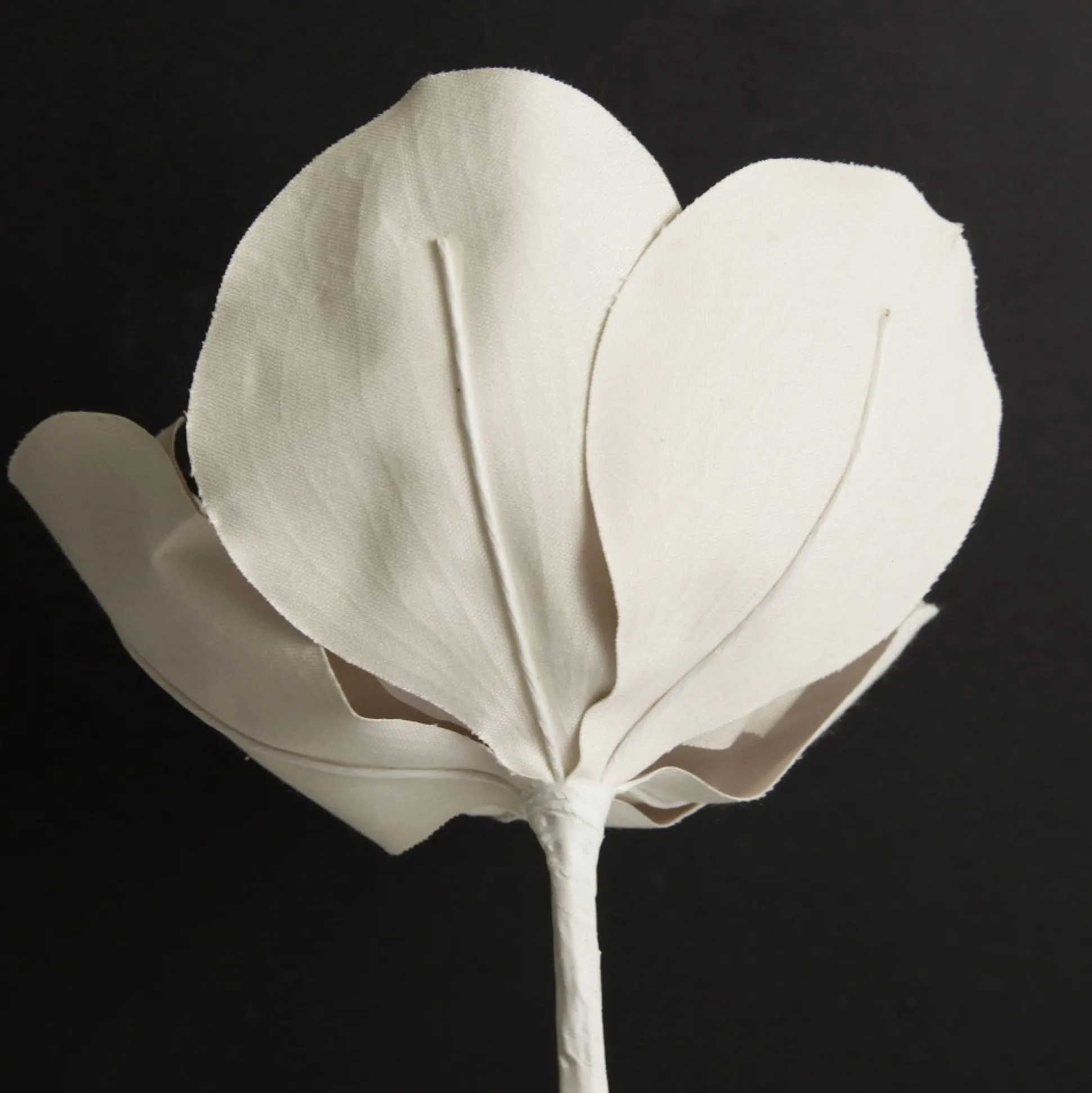 Shiny Ivory Magnolia Flower Stem Christmas Flowers|