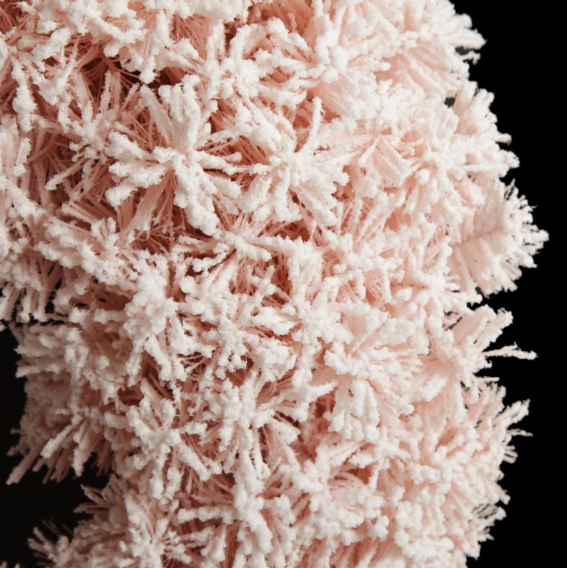 Snow Flocked Pink Fir Christmas Wreath Christmas Wreaths|