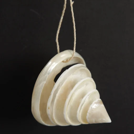 Spiral Cutout Shell Tree Decoration Beach Decorations|