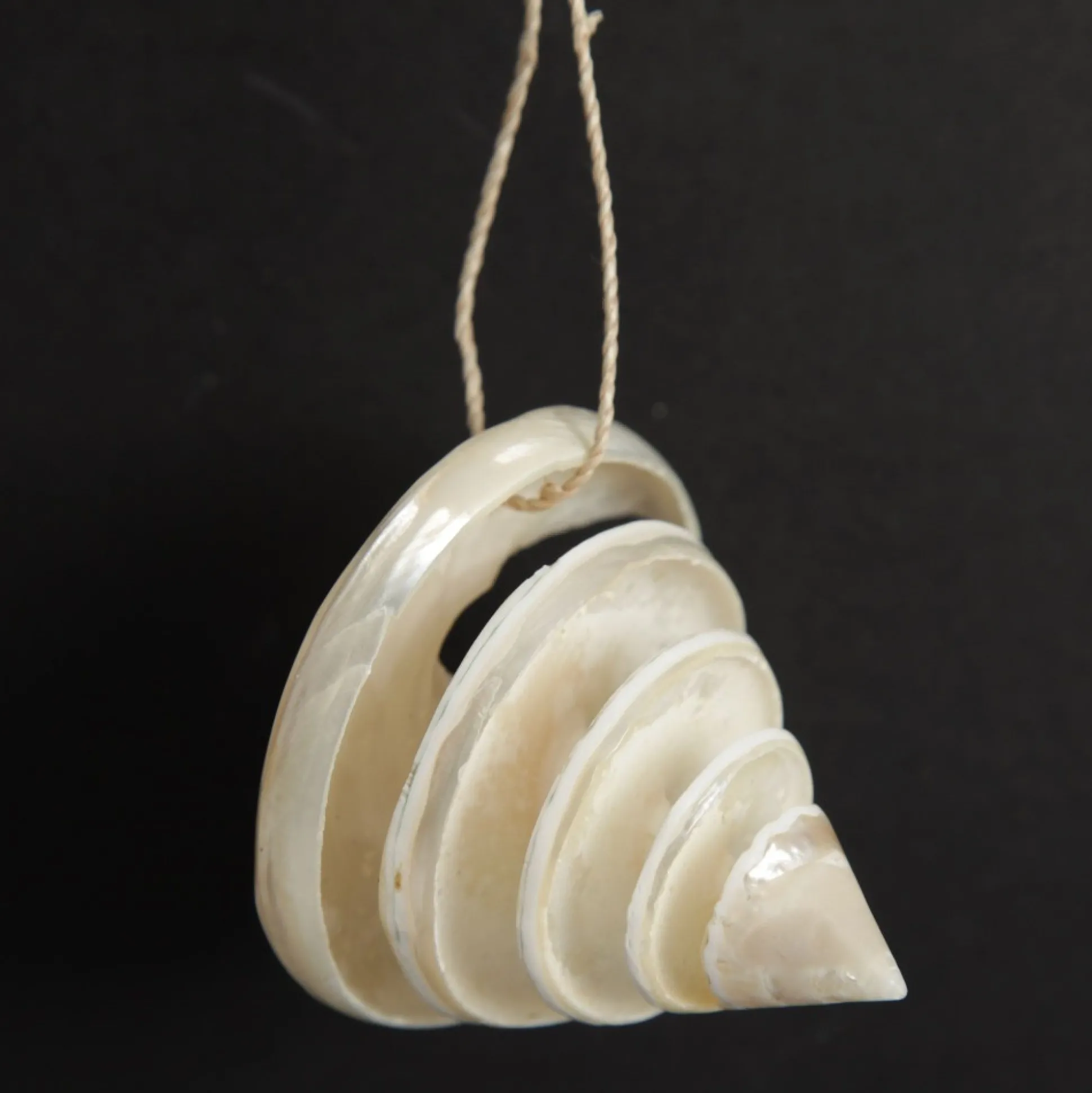 Spiral Cutout Shell Tree Decoration Beach Decorations|