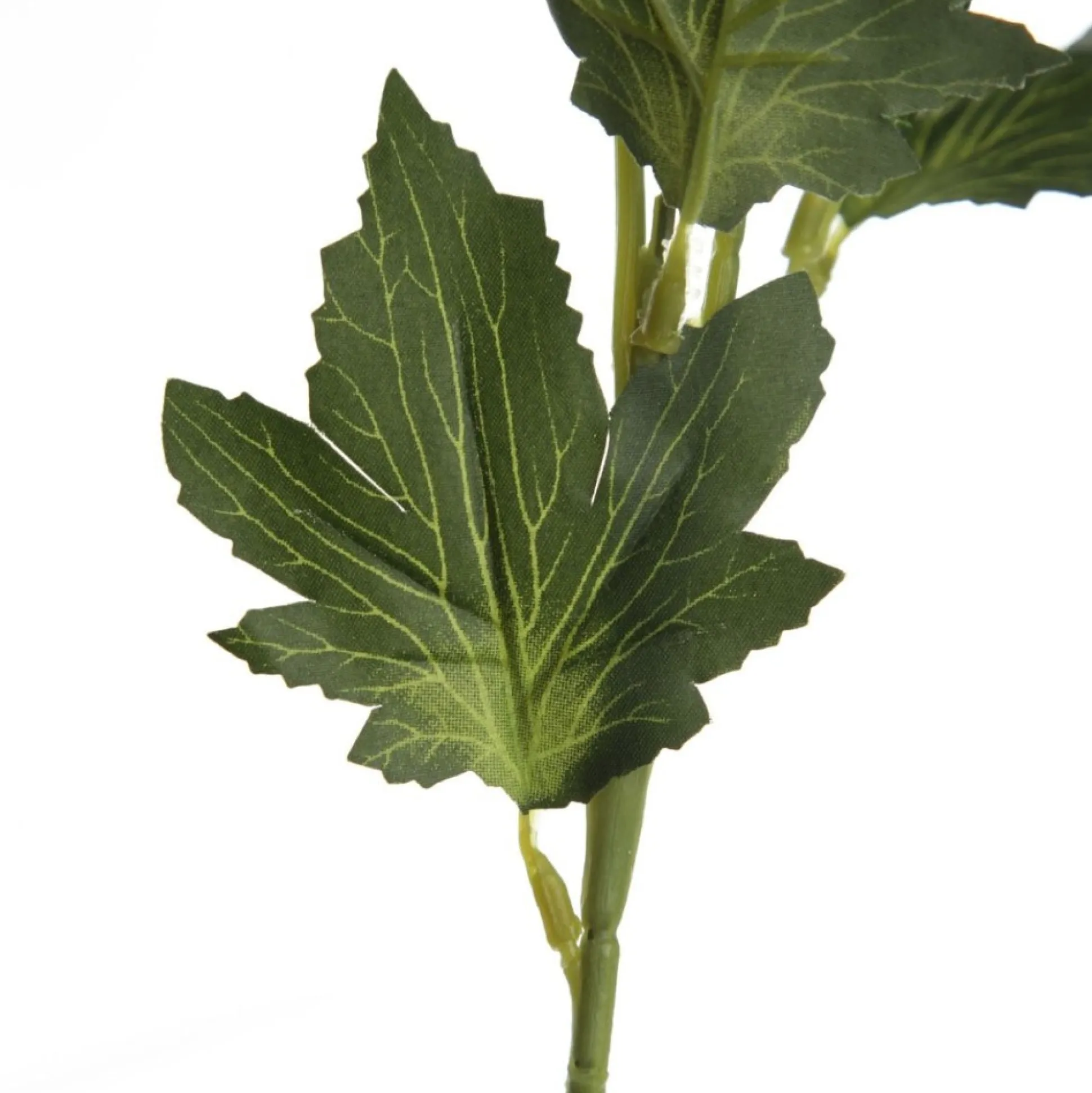 Triple Head Cream Banksia Spray Christmas Flowers|