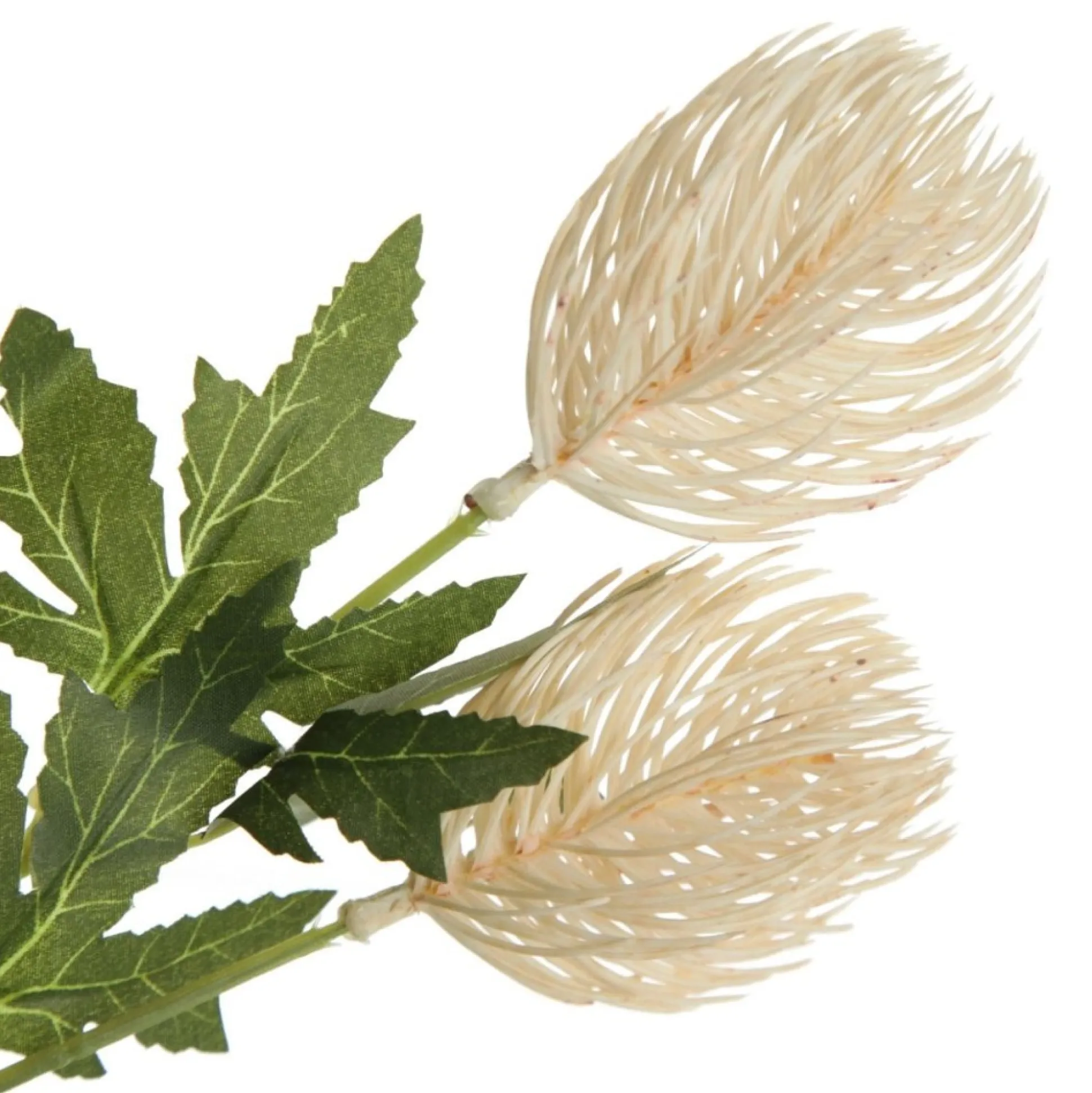 Triple Head Cream Banksia Spray Christmas Flowers|