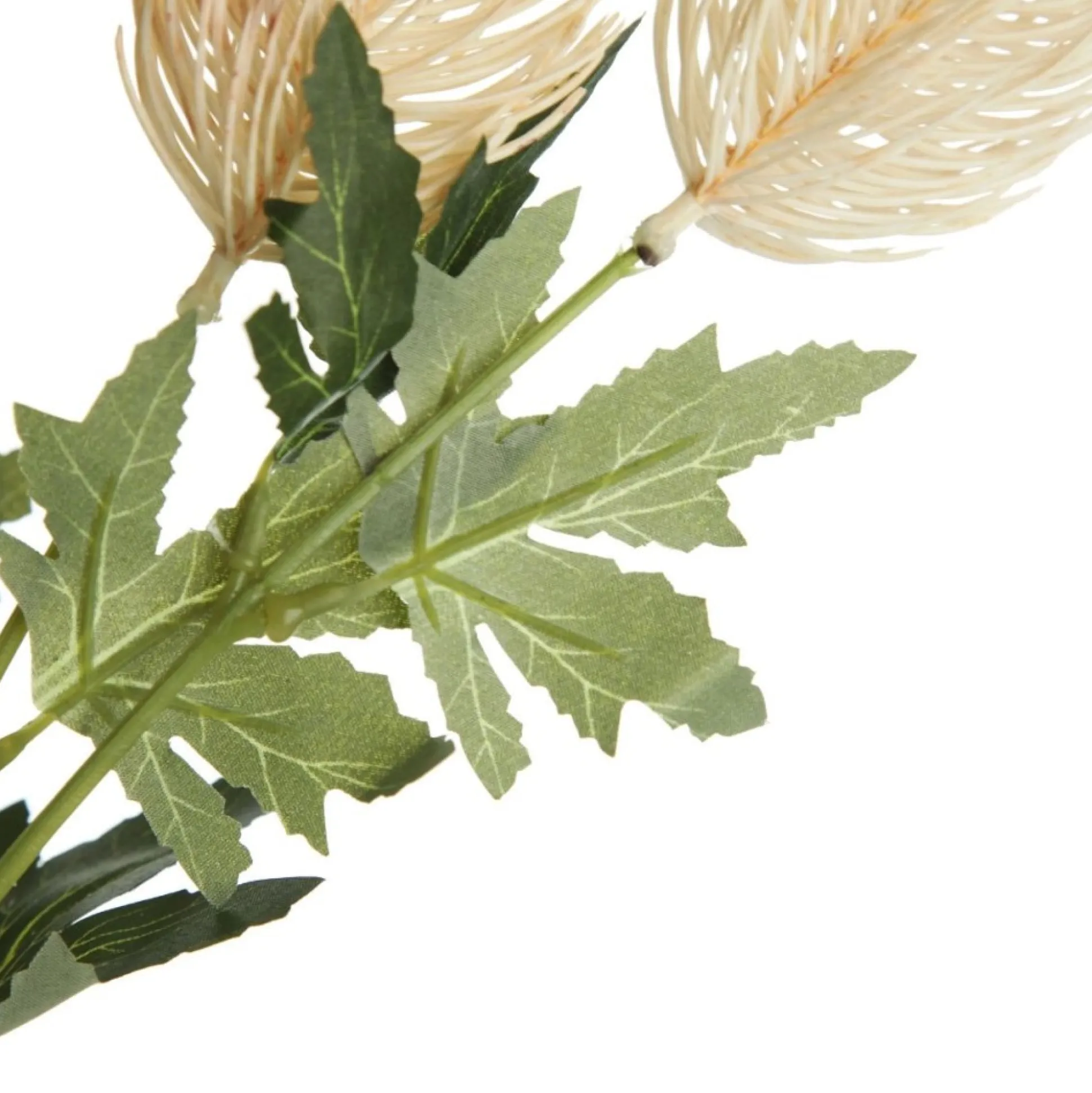 Triple Head Cream Banksia Spray Christmas Flowers|