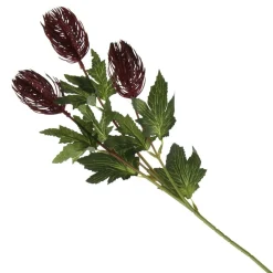 Triple Head Red Banksia Spray Christmas Flowers|