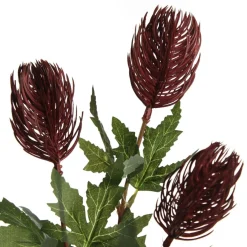 Triple Head Red Banksia Spray Christmas Flowers|