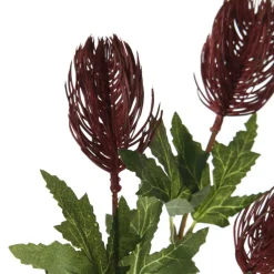 Triple Head Red Banksia Spray Christmas Flowers|