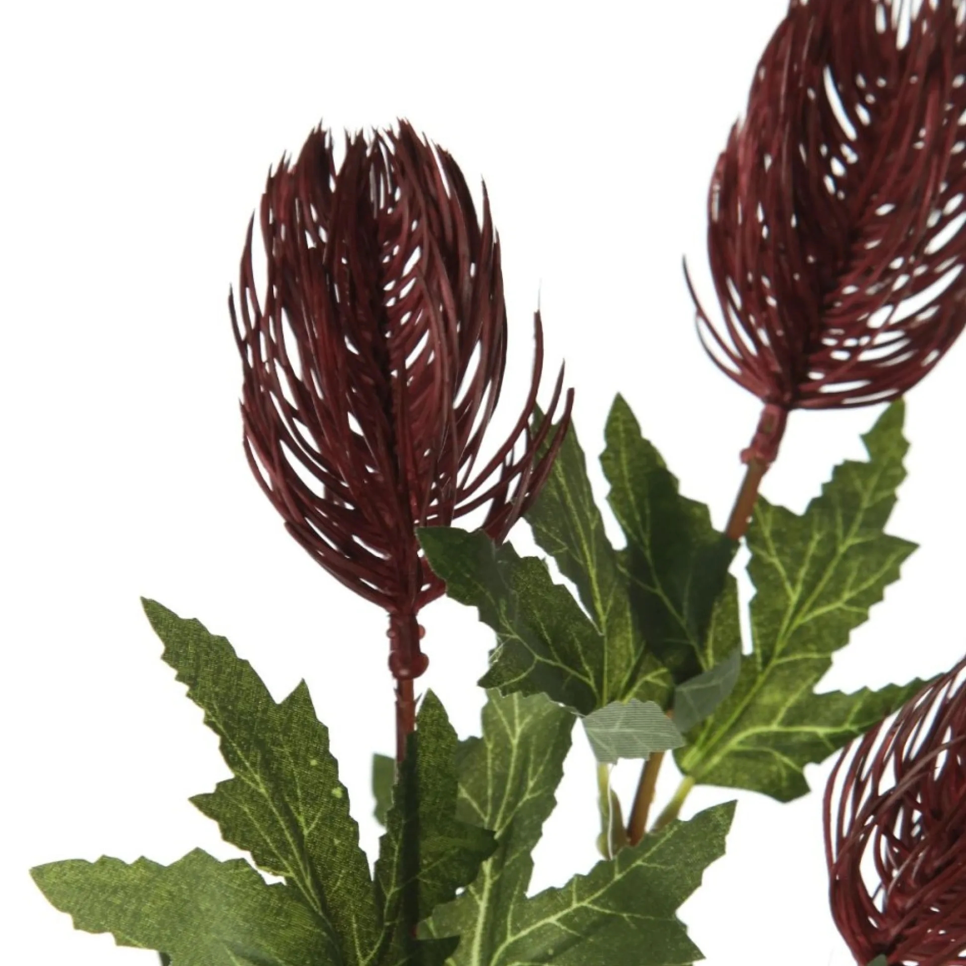 Triple Head Red Banksia Spray Christmas Flowers|