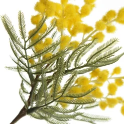 Yellow Wattle Stem Spray Christmas Sprays|