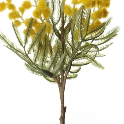 Yellow Wattle Stem Spray Christmas Sprays|